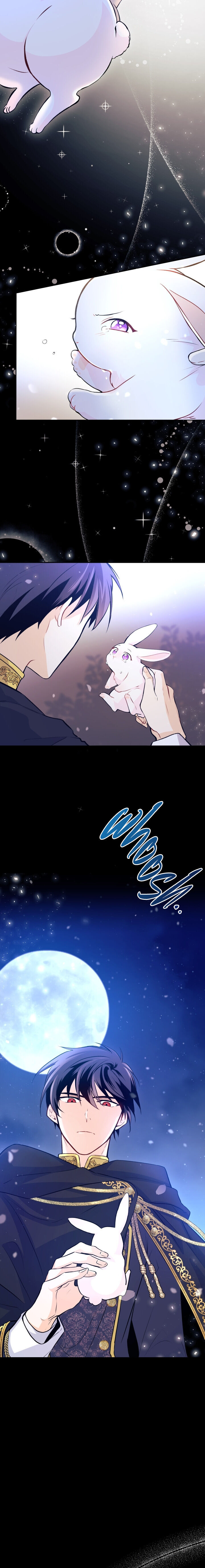 A Symbiotic Relationship Between A Rabbit And A Black Panther - Chapter 1 Page 12