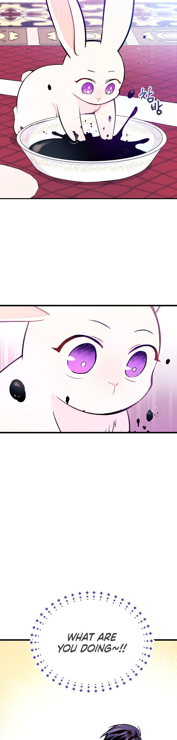 A Symbiotic Relationship Between A Rabbit And A Black Panther - Chapter 10 Page 13