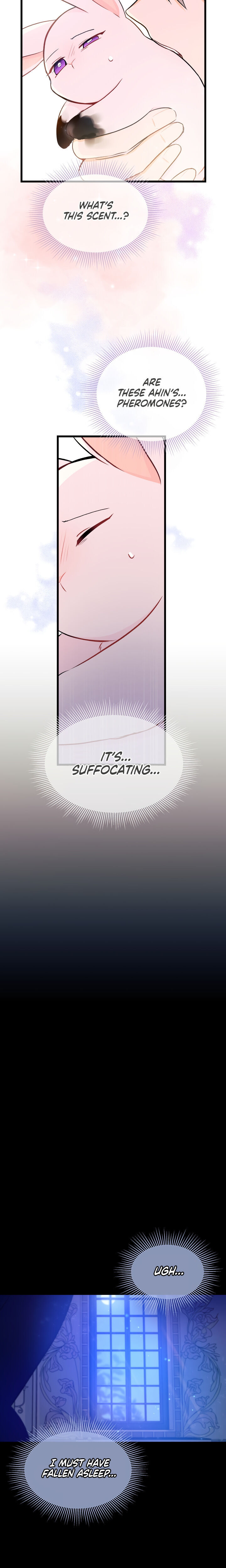 A Symbiotic Relationship Between A Rabbit And A Black Panther - Chapter 10 Page 24