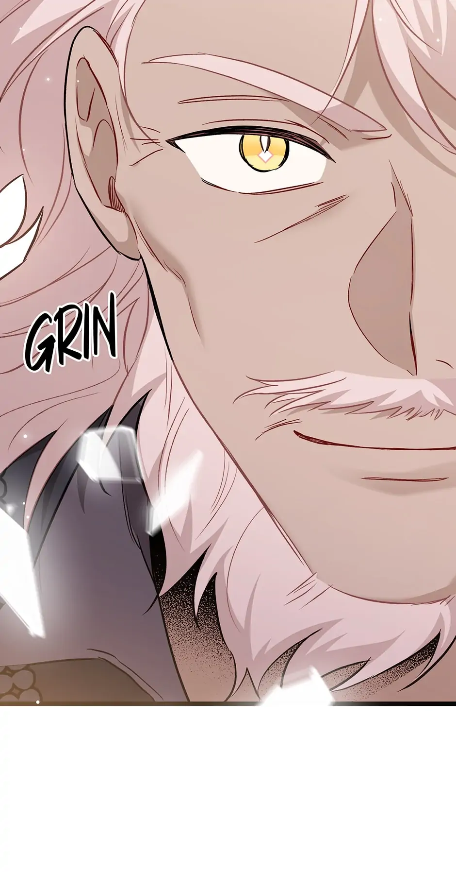 A Symbiotic Relationship Between A Rabbit And A Black Panther - Chapter 100 Page 33