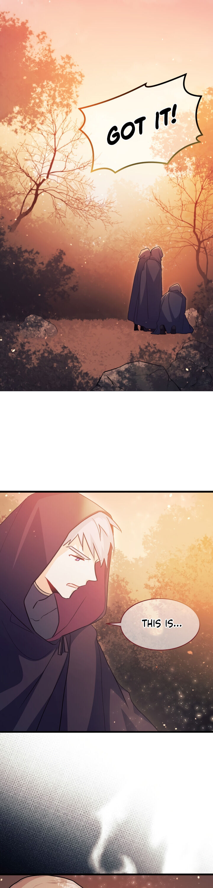 A Symbiotic Relationship Between A Rabbit And A Black Panther - Chapter 11 Page 25