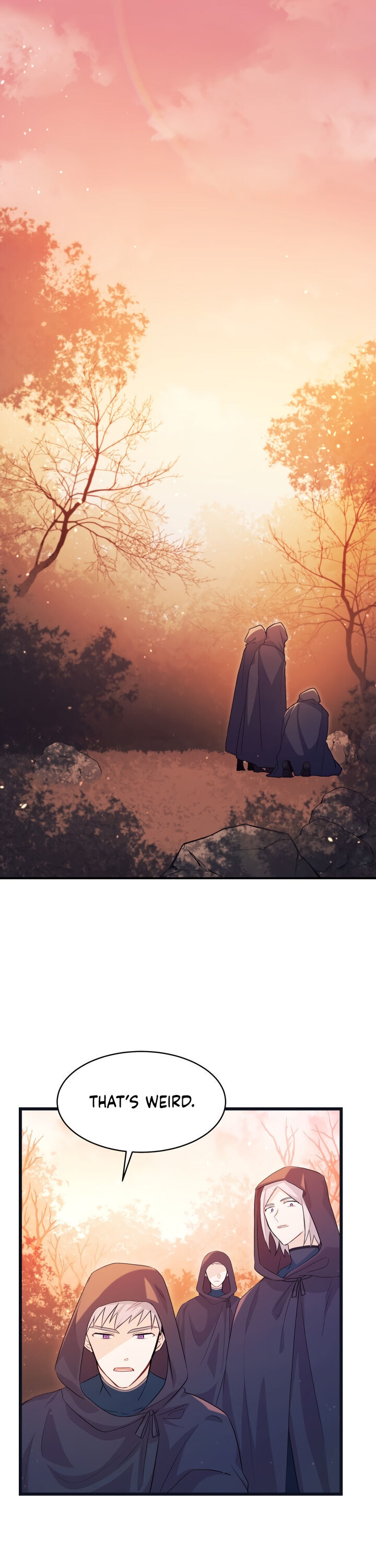 A Symbiotic Relationship Between A Rabbit And A Black Panther - Chapter 12 Page 1