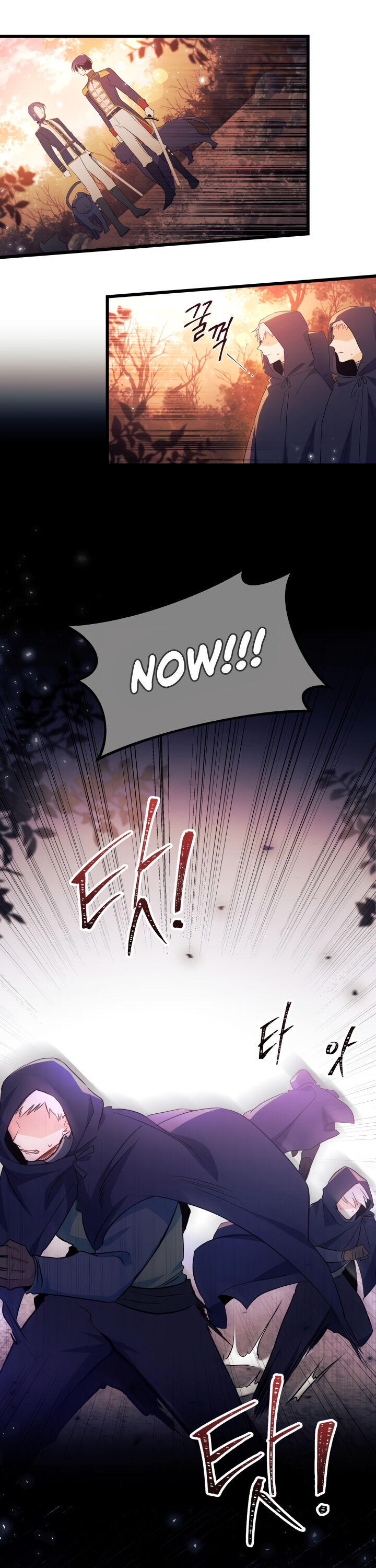A Symbiotic Relationship Between A Rabbit And A Black Panther - Chapter 12 Page 13