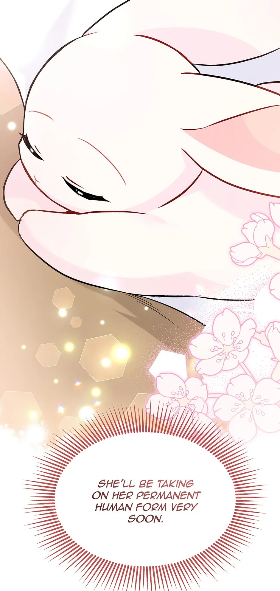 A Symbiotic Relationship Between A Rabbit And A Black Panther - Chapter 122 Page 69