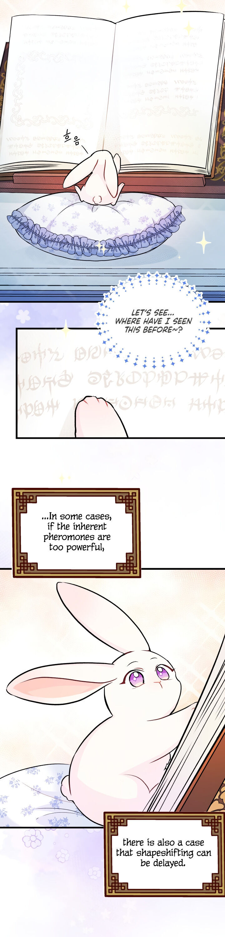 A Symbiotic Relationship Between A Rabbit And A Black Panther - Chapter 13 Page 16