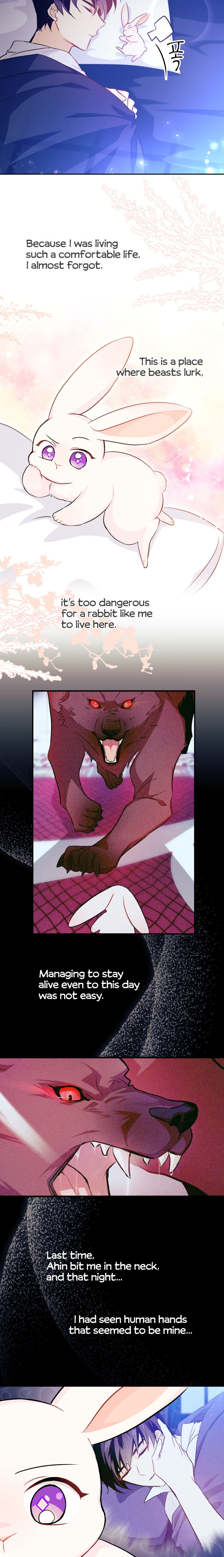 A Symbiotic Relationship Between A Rabbit And A Black Panther - Chapter 16 Page 12