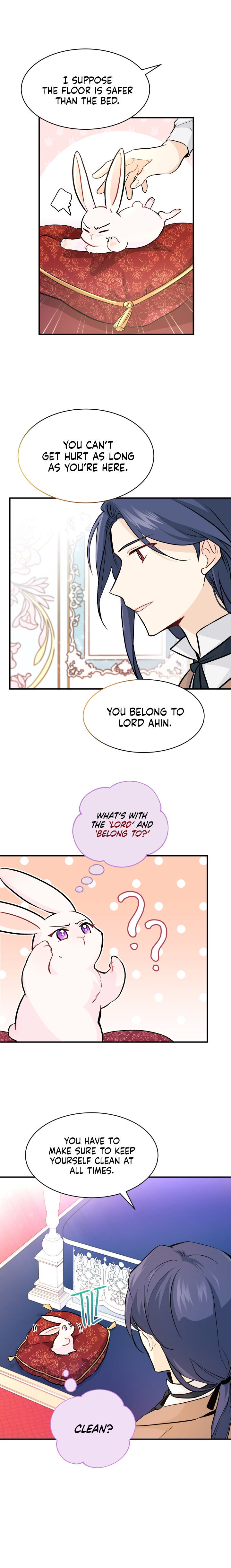 A Symbiotic Relationship Between A Rabbit And A Black Panther - Chapter 2 Page 10