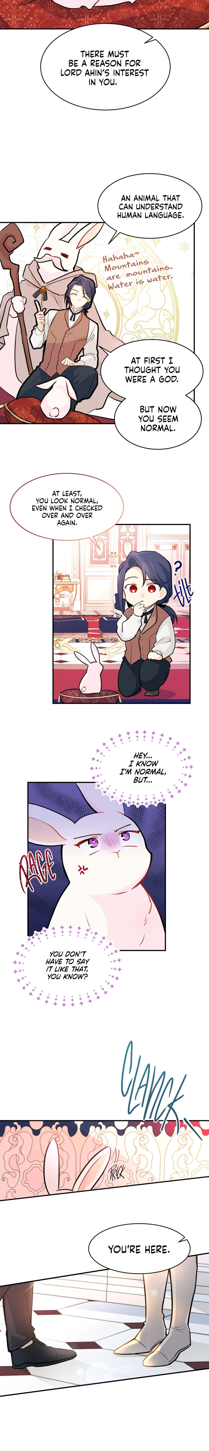 A Symbiotic Relationship Between A Rabbit And A Black Panther - Chapter 2 Page 19