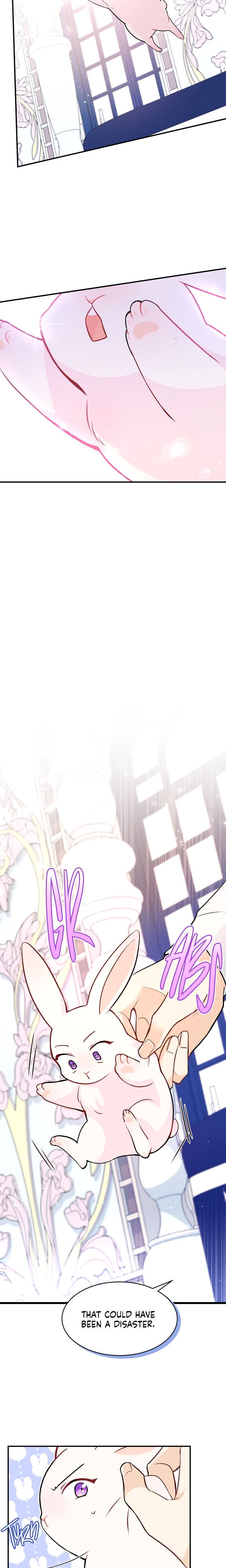 A Symbiotic Relationship Between A Rabbit And A Black Panther - Chapter 2 Page 7