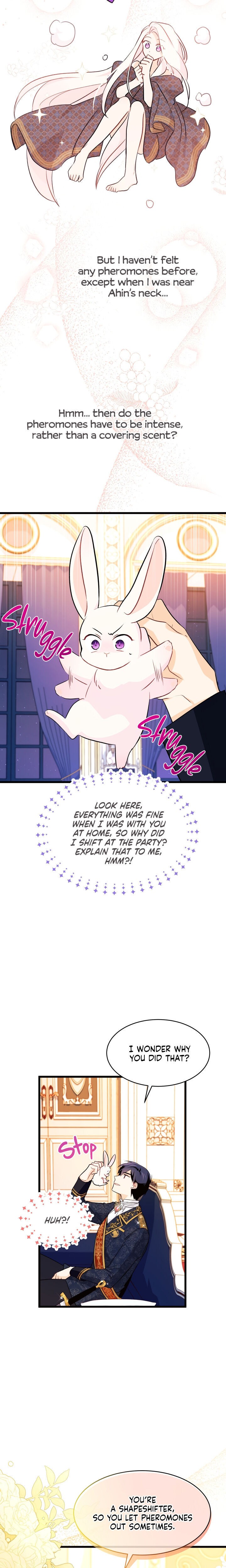 A Symbiotic Relationship Between A Rabbit And A Black Panther - Chapter 22 Page 15