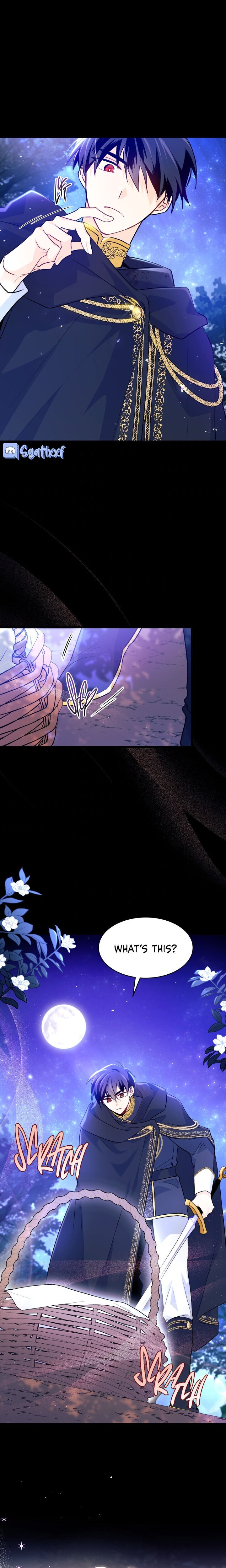A Symbiotic Relationship Between A Rabbit And A Black Panther - Chapter 29 Page 15