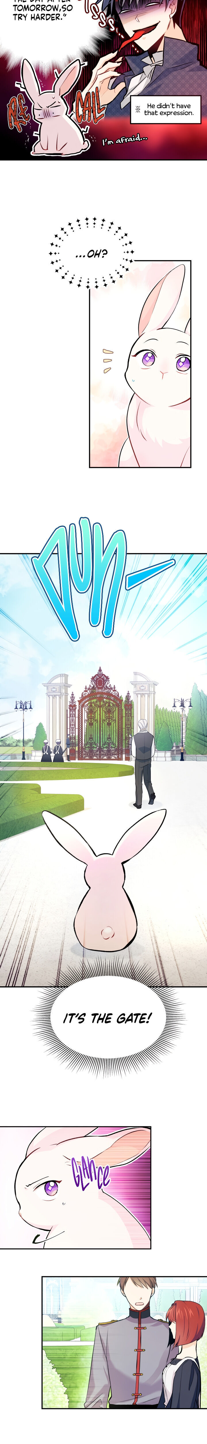 A Symbiotic Relationship Between A Rabbit And A Black Panther - Chapter 3 Page 19