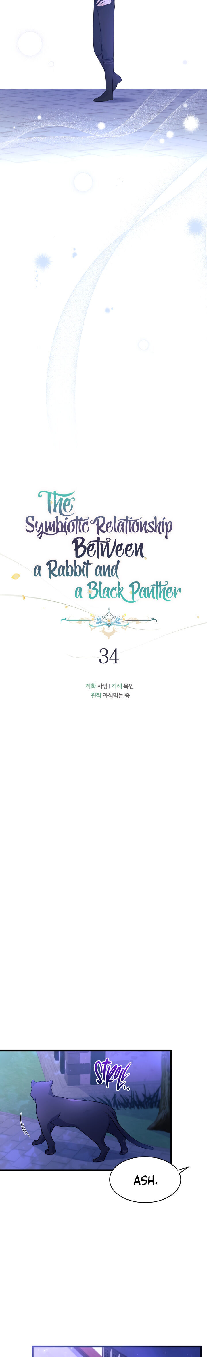 A Symbiotic Relationship Between A Rabbit And A Black Panther - Chapter 34 Page 8