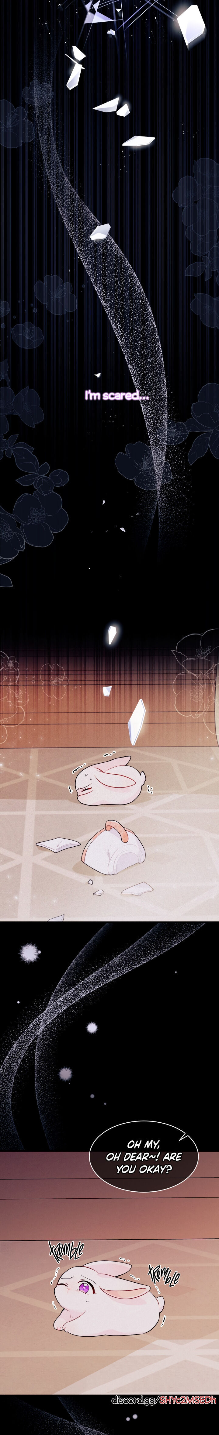 A Symbiotic Relationship Between A Rabbit And A Black Panther - Chapter 39 Page 4