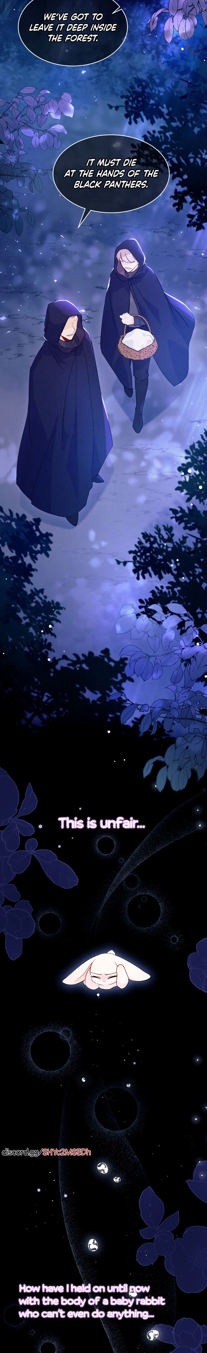 A Symbiotic Relationship Between A Rabbit And A Black Panther - Chapter 39 Page 9