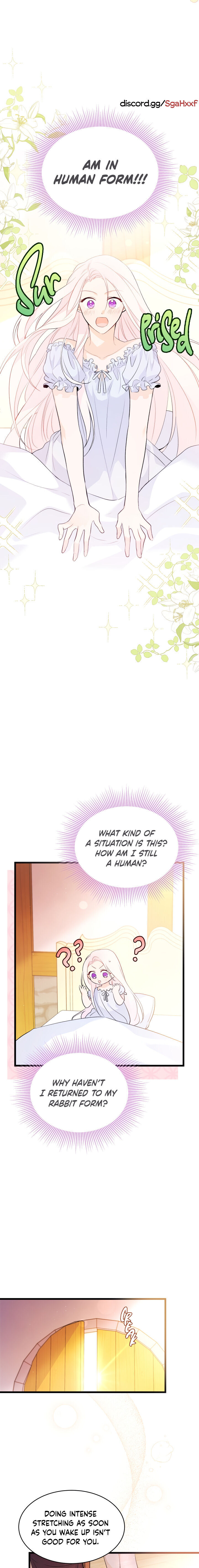 A Symbiotic Relationship Between A Rabbit And A Black Panther - Chapter 41 Page 10