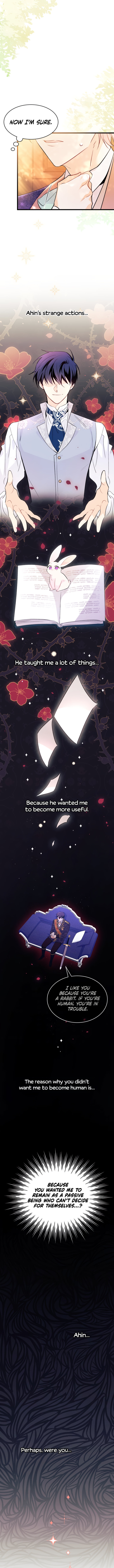 A Symbiotic Relationship Between A Rabbit And A Black Panther - Chapter 43 Page 13