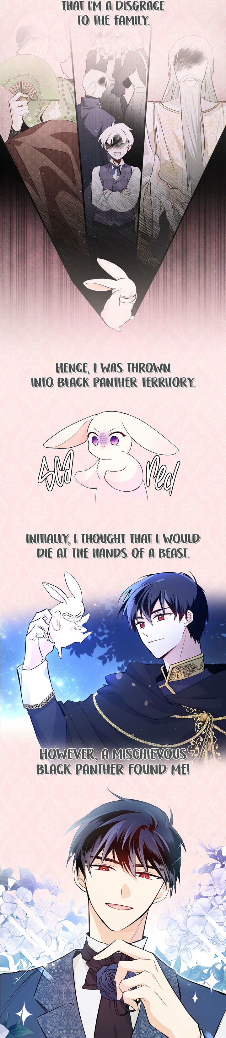 A Symbiotic Relationship Between A Rabbit And A Black Panther - Chapter 44.5 Page 4