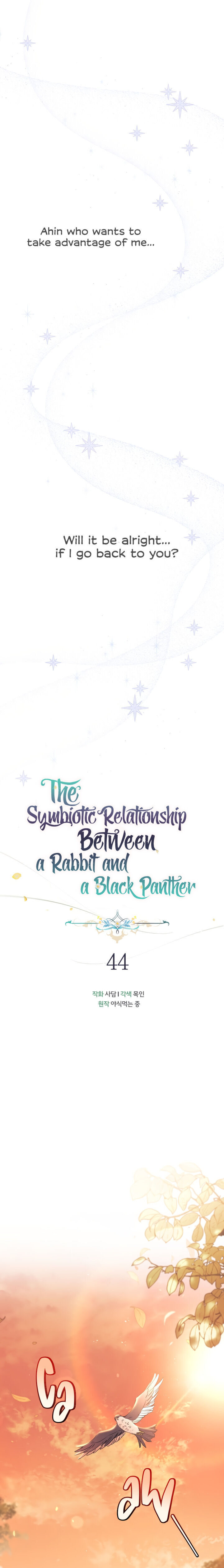A Symbiotic Relationship Between A Rabbit And A Black Panther - Chapter 44 Page 7