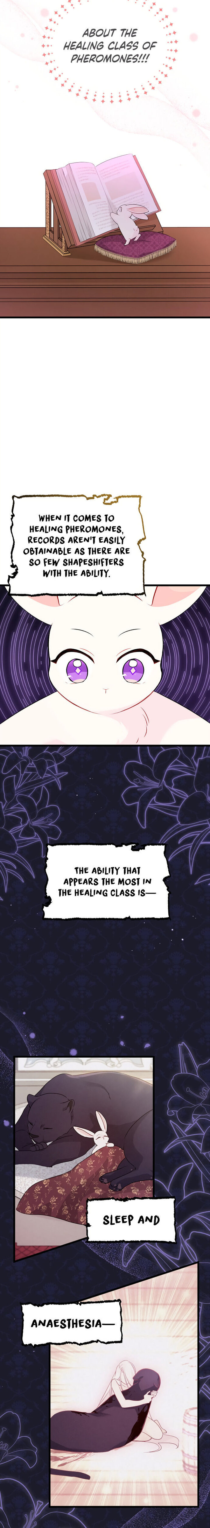 A Symbiotic Relationship Between A Rabbit And A Black Panther - Chapter 47 Page 22