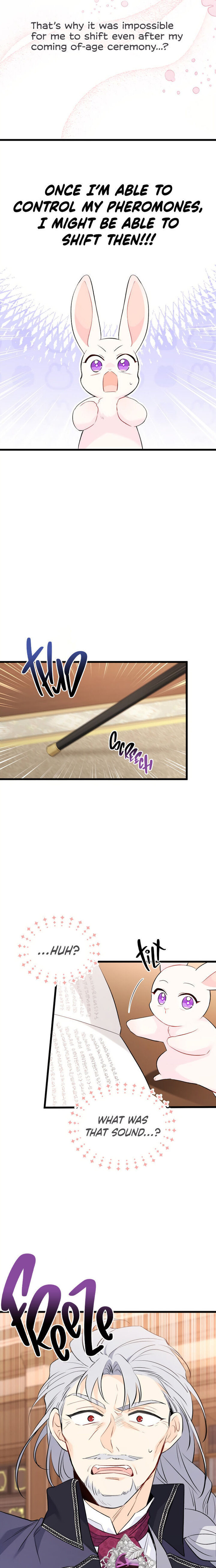 A Symbiotic Relationship Between A Rabbit And A Black Panther - Chapter 47 Page 26