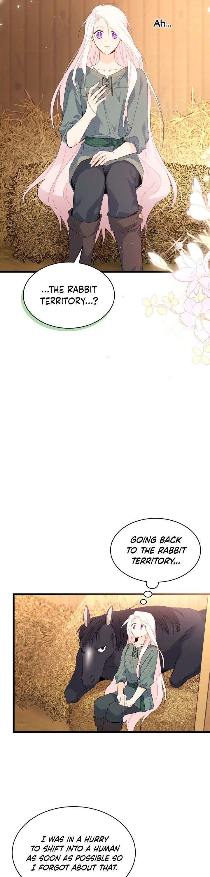 A Symbiotic Relationship Between A Rabbit And A Black Panther - Chapter 49 Page 16