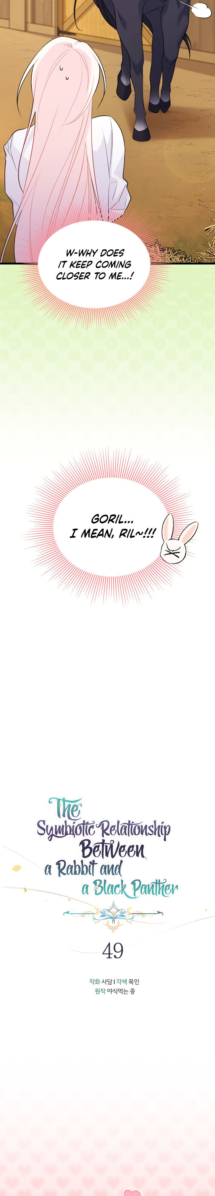 A Symbiotic Relationship Between A Rabbit And A Black Panther - Chapter 49 Page 9
