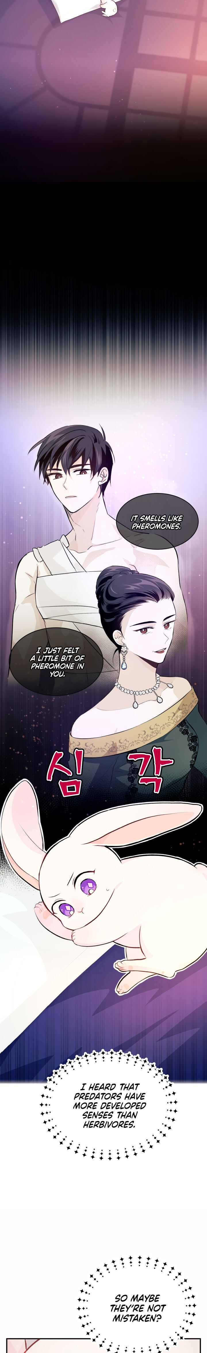 A Symbiotic Relationship Between A Rabbit And A Black Panther - Chapter 5 Page 13