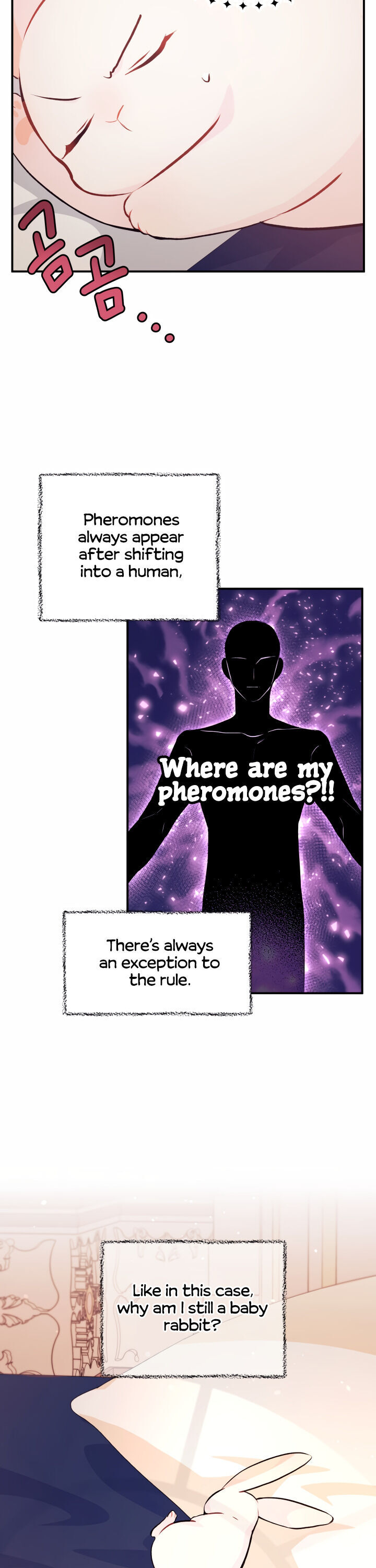 A Symbiotic Relationship Between A Rabbit And A Black Panther - Chapter 5 Page 14