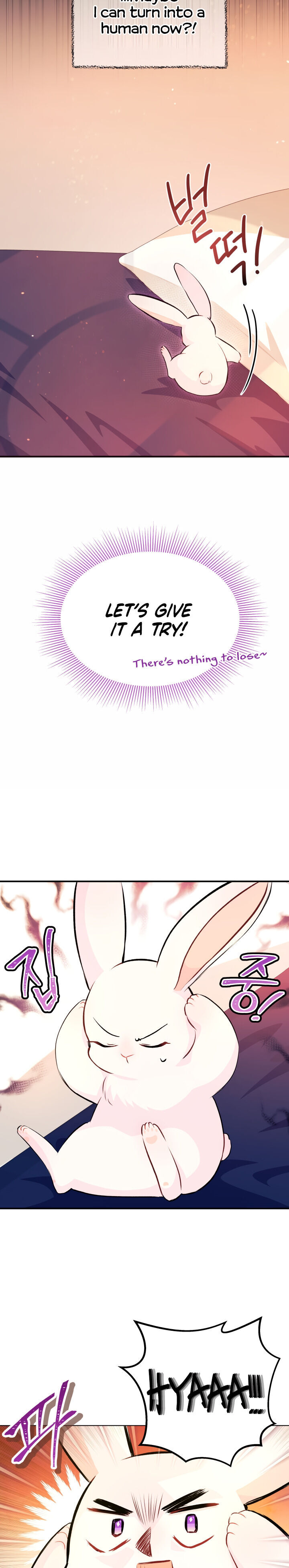 A Symbiotic Relationship Between A Rabbit And A Black Panther - Chapter 5 Page 16