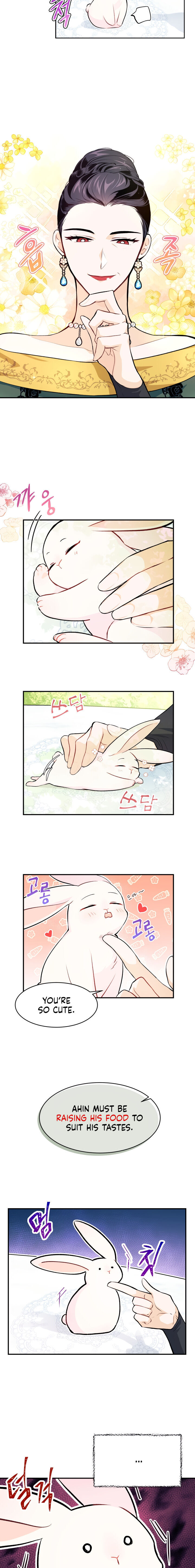 A Symbiotic Relationship Between A Rabbit And A Black Panther - Chapter 5 Page 6
