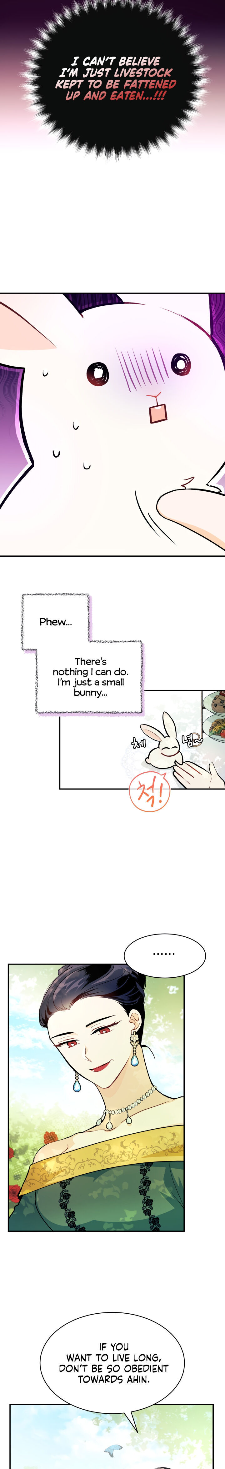 A Symbiotic Relationship Between A Rabbit And A Black Panther - Chapter 5 Page 8