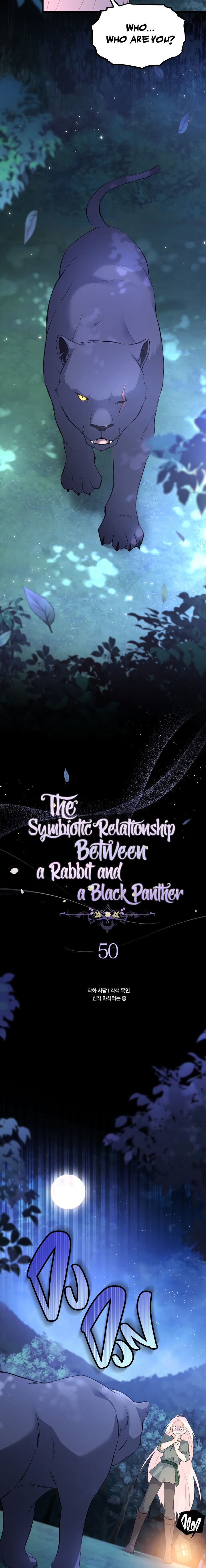 A Symbiotic Relationship Between A Rabbit And A Black Panther - Chapter 50 Page 7