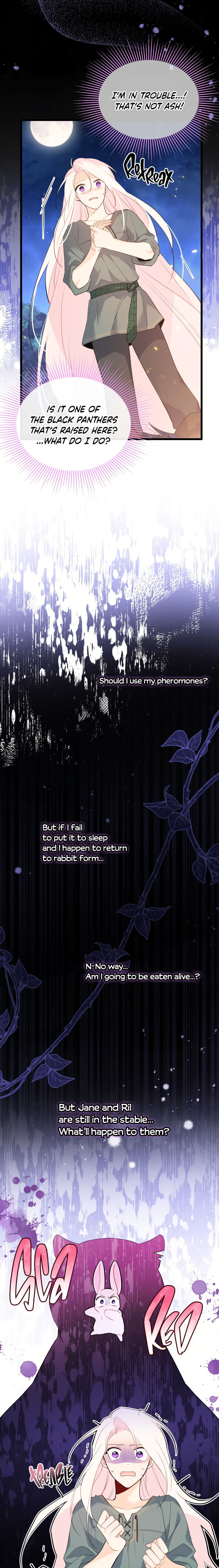 A Symbiotic Relationship Between A Rabbit And A Black Panther - Chapter 50 Page 9