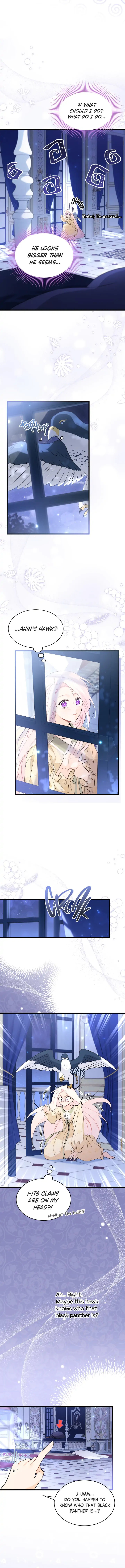A Symbiotic Relationship Between A Rabbit And A Black Panther - Chapter 54 Page 3