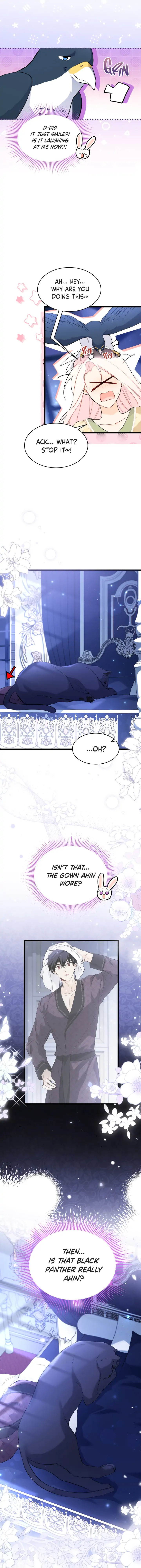 A Symbiotic Relationship Between A Rabbit And A Black Panther - Chapter 54 Page 4