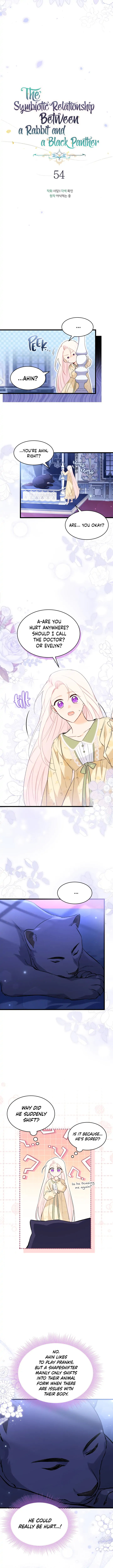 A Symbiotic Relationship Between A Rabbit And A Black Panther - Chapter 54 Page 5
