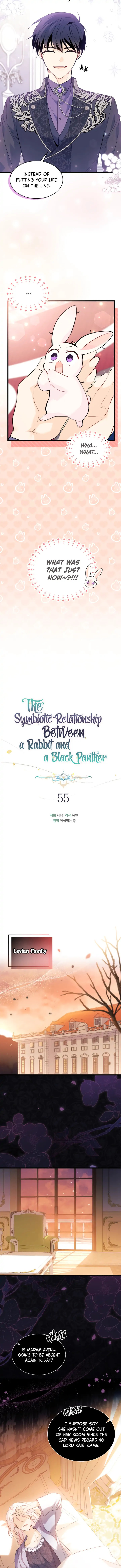 A Symbiotic Relationship Between A Rabbit And A Black Panther - Chapter 55 Page 6