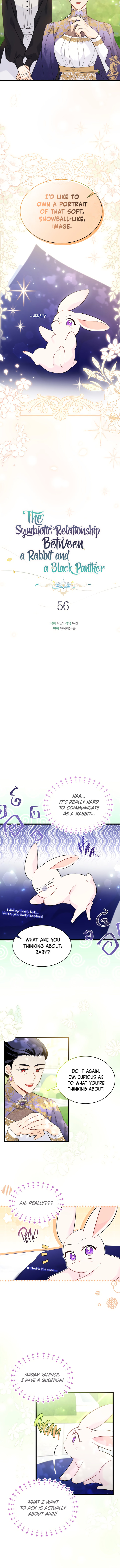 A Symbiotic Relationship Between A Rabbit And A Black Panther - Chapter 56 Page 4
