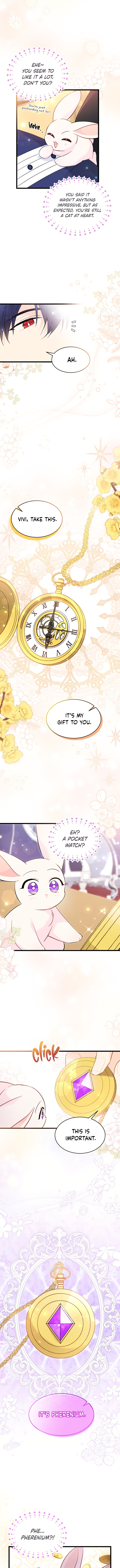 A Symbiotic Relationship Between A Rabbit And A Black Panther - Chapter 56 Page 8