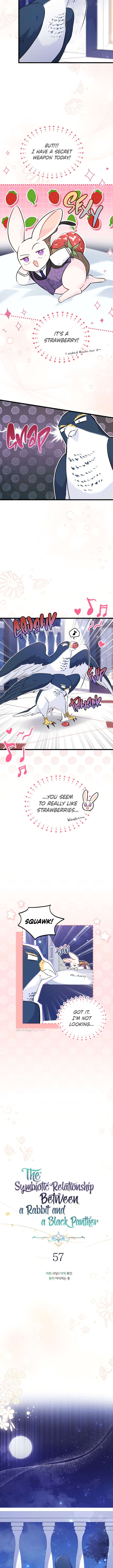A Symbiotic Relationship Between A Rabbit And A Black Panther - Chapter 57 Page 3