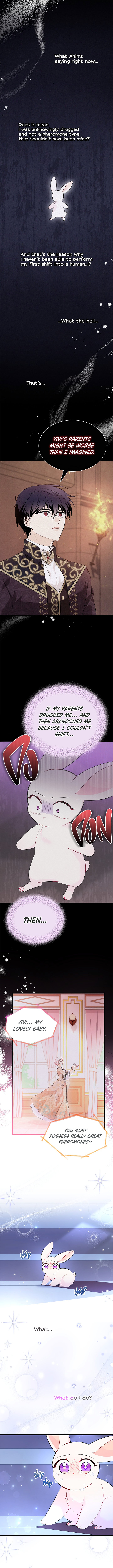 A Symbiotic Relationship Between A Rabbit And A Black Panther - Chapter 58 Page 9