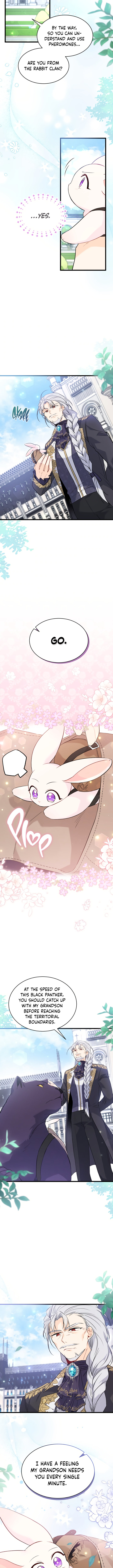 A Symbiotic Relationship Between A Rabbit And A Black Panther - Chapter 60 Page 12