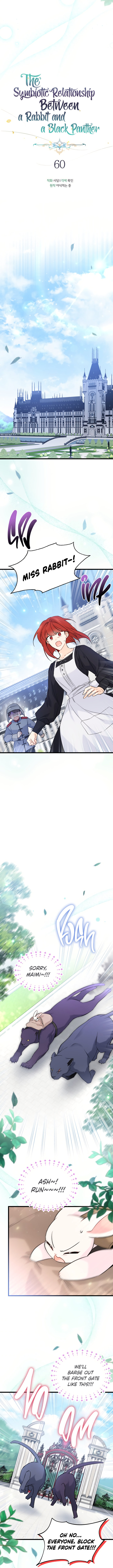 A Symbiotic Relationship Between A Rabbit And A Black Panther - Chapter 60 Page 6