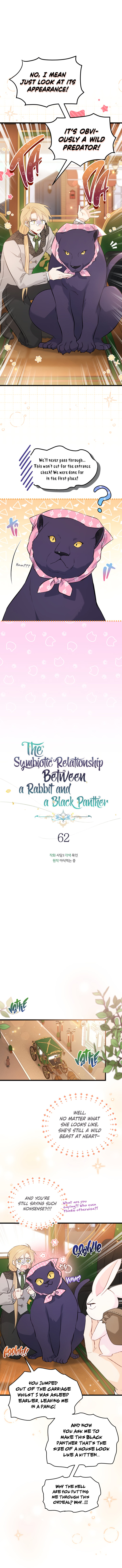 A Symbiotic Relationship Between A Rabbit And A Black Panther - Chapter 62 Page 4