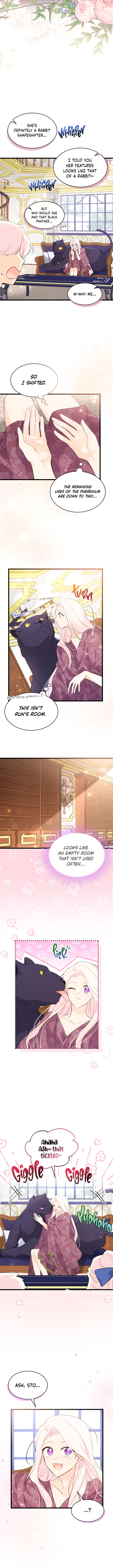 A Symbiotic Relationship Between A Rabbit And A Black Panther - Chapter 63 Page 13