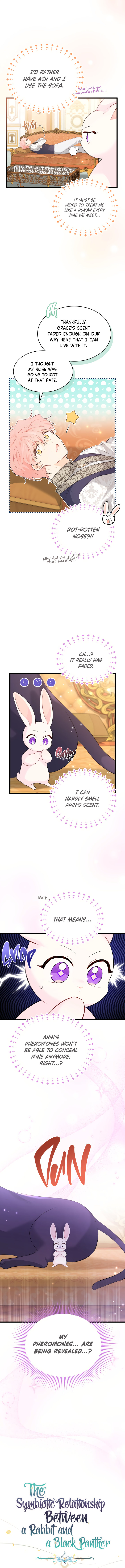 A Symbiotic Relationship Between A Rabbit And A Black Panther - Chapter 63 Page 3