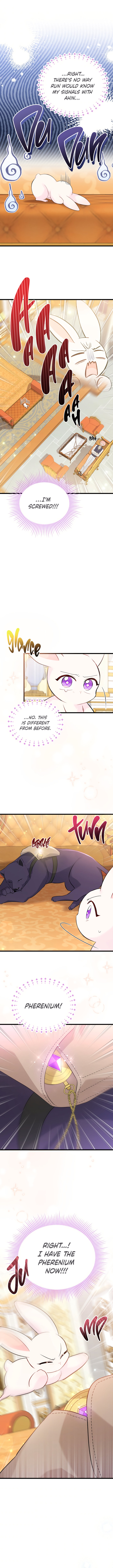A Symbiotic Relationship Between A Rabbit And A Black Panther - Chapter 63 Page 8