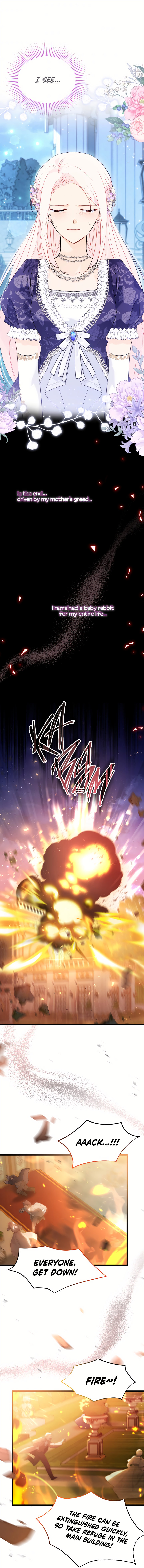 A Symbiotic Relationship Between A Rabbit And A Black Panther - Chapter 67 Page 12