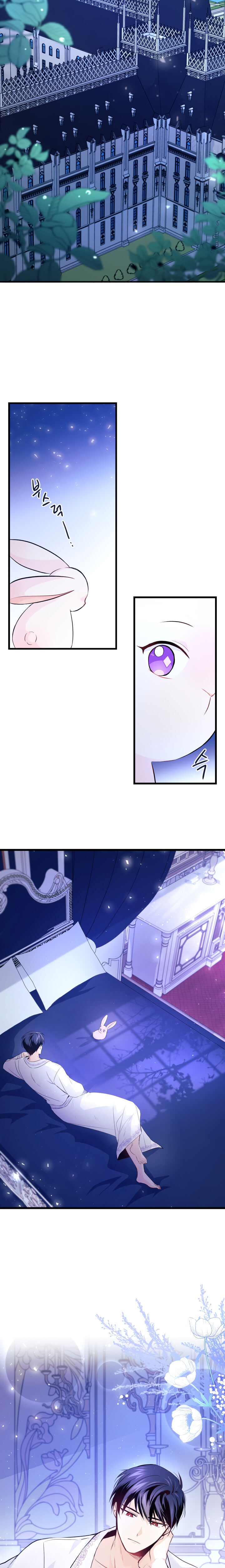 A Symbiotic Relationship Between A Rabbit And A Black Panther - Chapter 7 Page 24